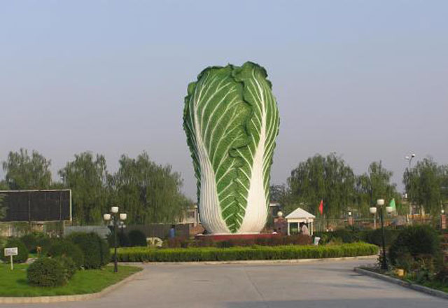 世界最大白菜玻璃钢雕塑现身邯郸