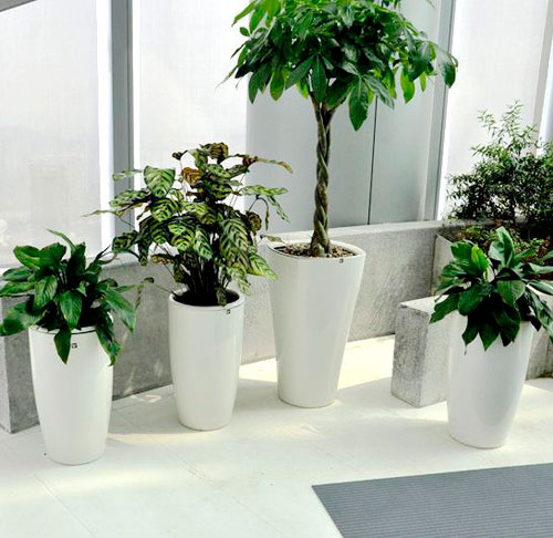 办公室玻璃钢室内花盆